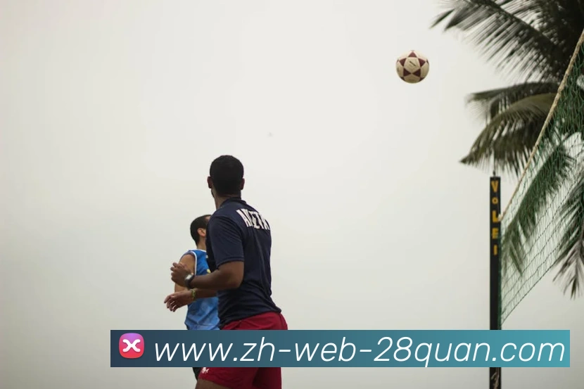 多媒体互动体验