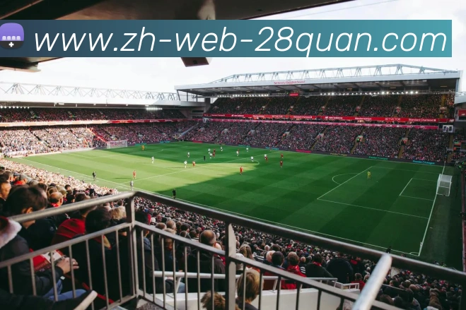 奖项证书
